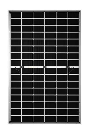 Panneau Solaire -TW Solar 450 Wc - Bi Facial